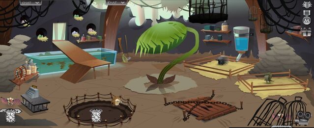 File:Pet Shop.jpg