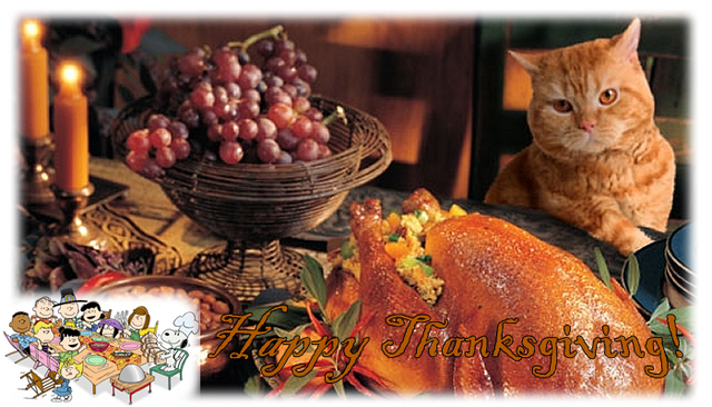 File:Thanksgiving mask.fw.png