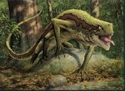 Sylvan basilisk.jpg