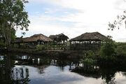 Jungle-town.jpg