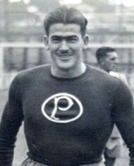 Cattani