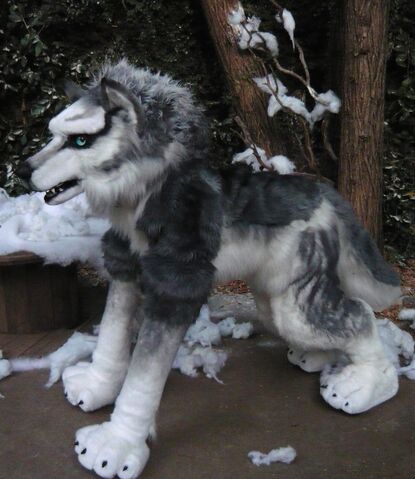 File:Wolf husky lily.jpg