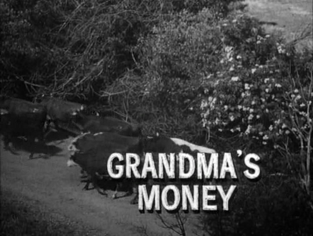 File:Grandma's Money.png