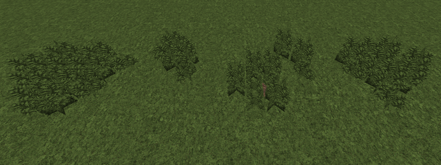 File:JungleTallFern.png