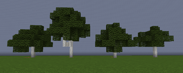 File:BeechS.png