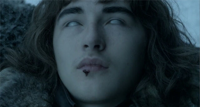 Plik:Bran2.jpg