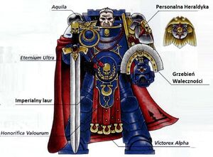Cato Sicarius odznaki.jpg