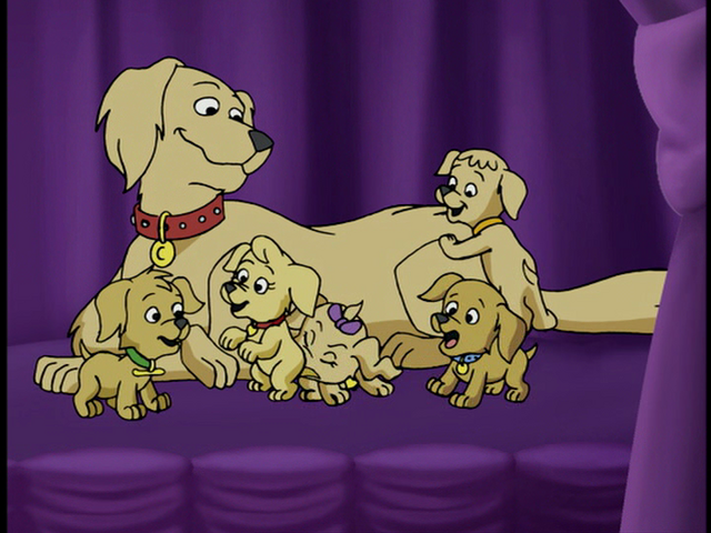 File:Vlcsnap-2010-10-04-22h22m44s36.png