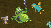 Perrycameo