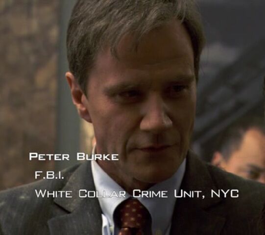 File:Peter Burke 1.jpg
