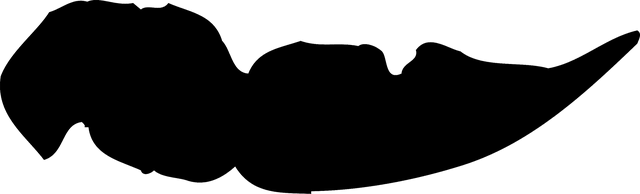 File:GlyphAir.png