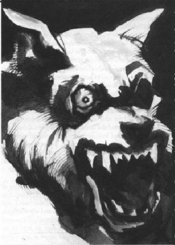 File:Storm-Eye.png