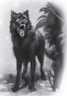 Shadow Wolf