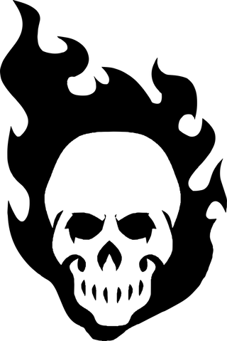 File:SkullHTV.png