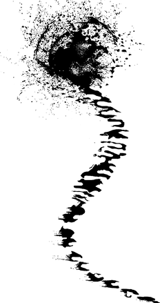 File:DharmaPathofaThousandWhispers.png