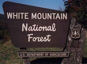 White Mountain