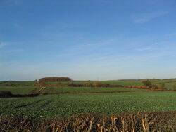 Lincsfarmland.jpg
