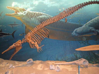 Basilosaurus by RattlerJones.jpg