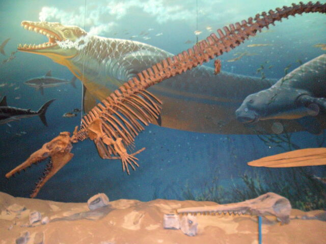 Plik:Basilosaurus by RattlerJones.jpg