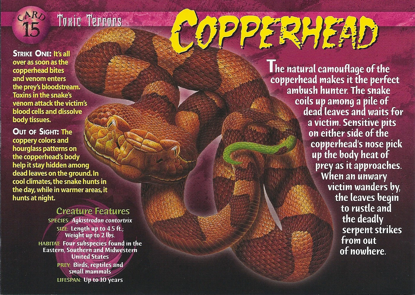 Copperhead Wierd N'wild Creatures Wiki FANDOM powered by Wikia