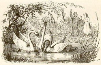 Duckling 03