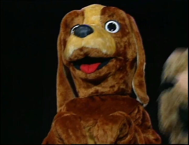 File:SkallyinTheWigglesBigShow.jpg