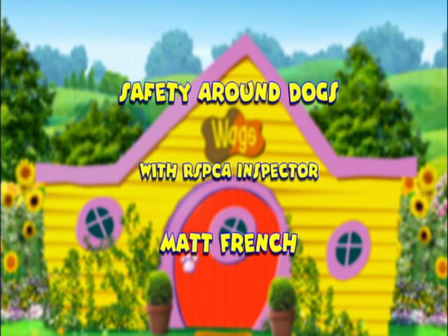 File:SafetyAroundDogs.jpg