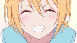 Chitogenisekoi