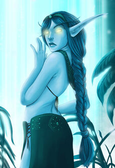 Nashara3