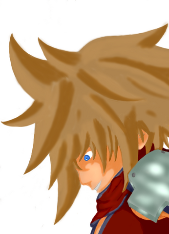 Archivo:Sora Heatstroke.png