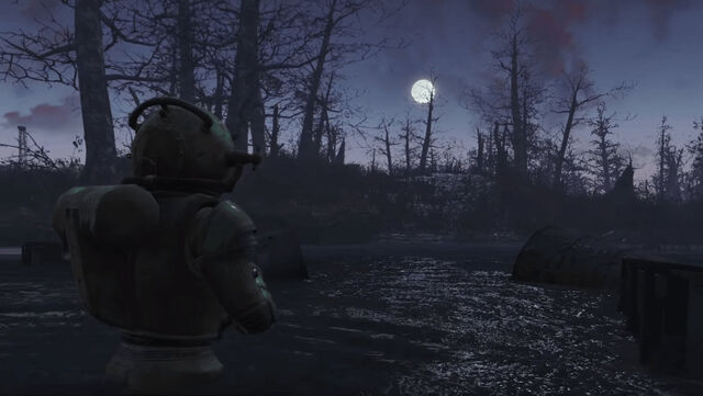 Файл:Fallout-4-Far-Harbor-4.jpg