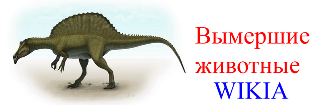 Файл:Новый логотип ВЖВ.png