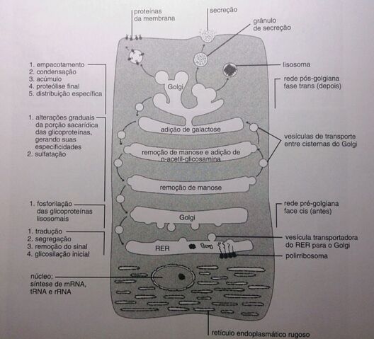 File:Eafe.jpg