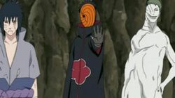 Madara-sasuke-and-zetsu.jpg