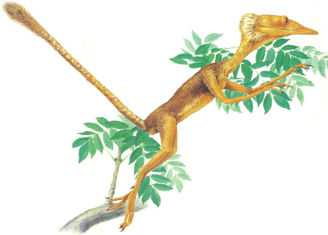 Archivo:Treehopper.jpg