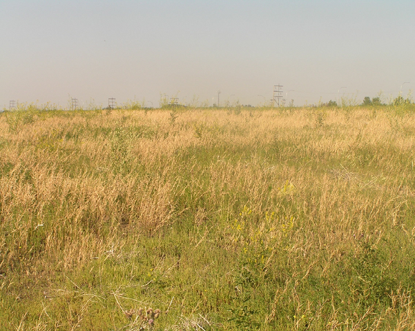 File:Habitat, Upper drysoilmeadow.png