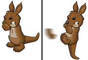 Kickkangaroo