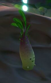 Livingroot Keeper