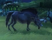 Warpig