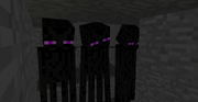 Triplets Image