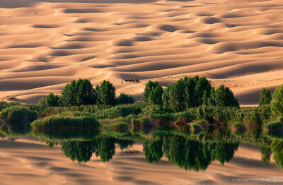 Hyrcanian desert