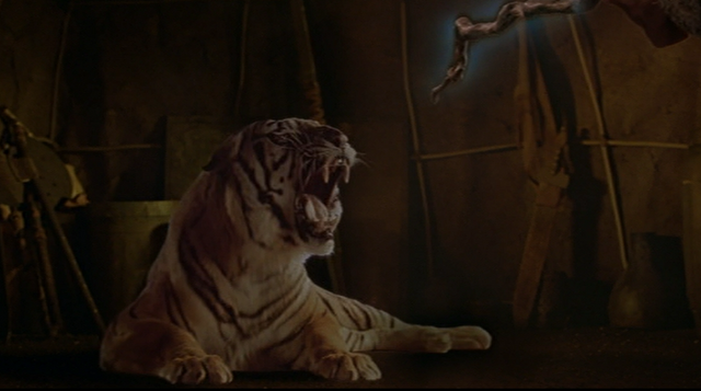 File:Tiger.png