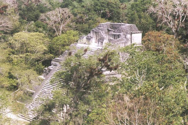 Archivo:Tikal (1).jpg