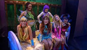 Winx on tour foto 2