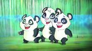 PandasT7.jpg