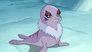 KalsharaFocaT7.png
