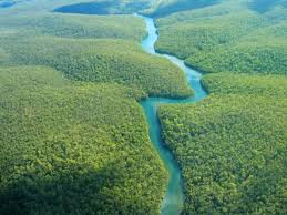 Amazonia.jpg
