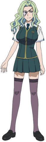 File:Fig menowa mei01.png