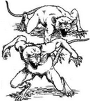Gra Wyobrazni wererat