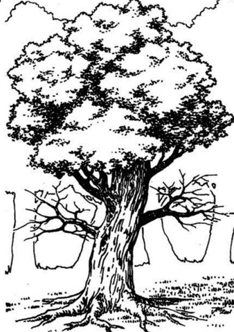 File:Gra Wyobrazni tree monster.png
